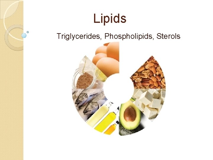 Lipids Triglycerides, Phospholipids, Sterols 