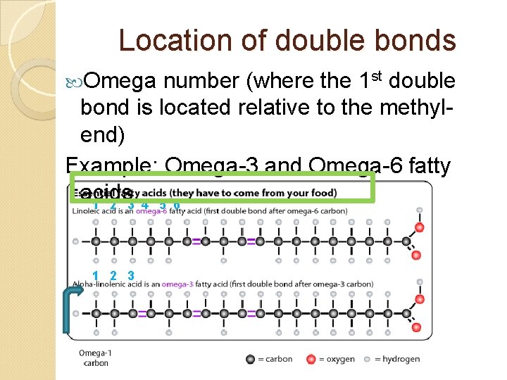 Location of double bonds Omega number (where the 1 st double bond is located