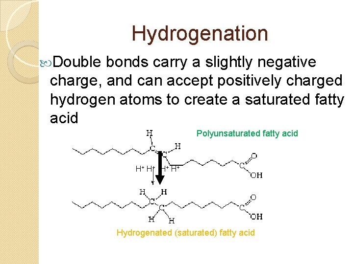 Hydrogenation Double bonds carry a slightly negative charge, and can accept positively charged hydrogen