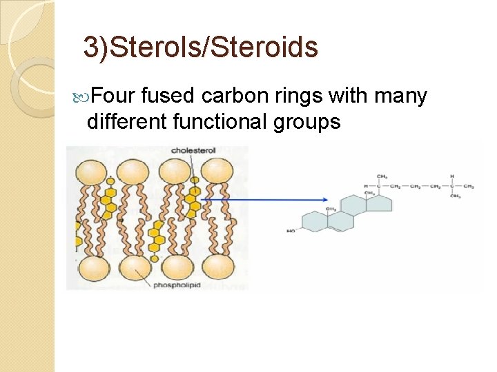 3)Sterols/Steroids Four fused carbon rings with many different functional groups 