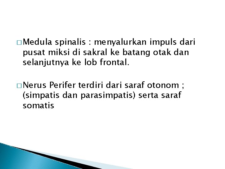 � Medula spinalis : menyalurkan impuls dari pusat miksi di sakral ke batang otak