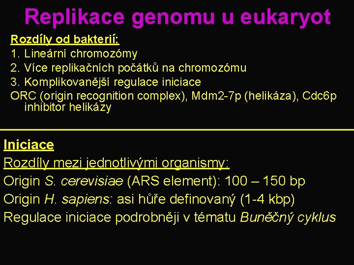 Replikace genomu u eukaryot Rozdíly od bakterií: 1. Lineární chromozómy 2. Více replikačních počátků