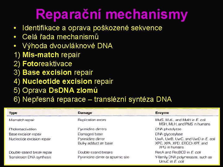 Reparační mechanismy • Identifikace a oprava poškozené sekvence • Celá řada mechanismů • Výhoda