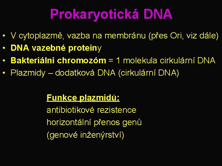 Prokaryotická DNA • • V cytoplazmě, vazba na membránu (přes Ori, viz dále) DNA