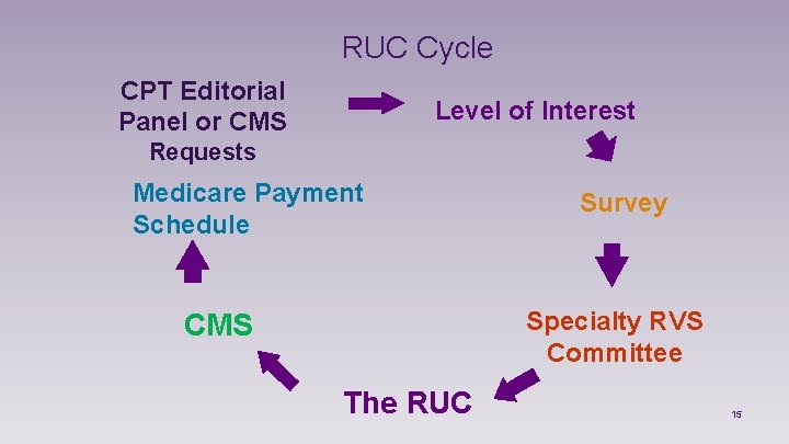 RUC Cycle CPT Editorial Panel or CMS Level of Interest Requests Medicare Payment Schedule