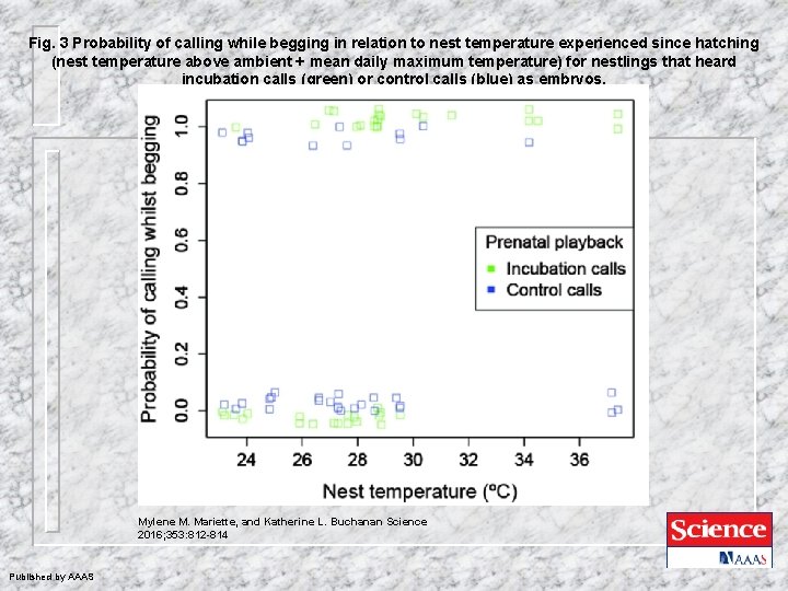 Fig. 3 Probability of calling while begging in relation to nest temperature experienced since