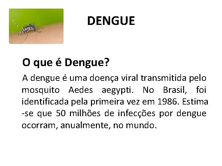 DENGUE O que é Dengue? A dengue é uma doença viral transmitida pelo mosquito