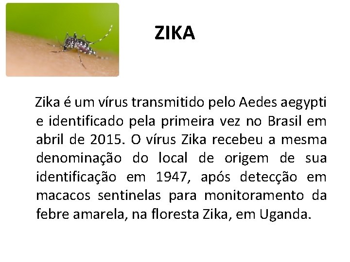 ZIKA Zika é um vírus transmitido pelo Aedes aegypti e identificado pela primeira vez