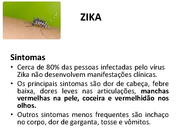 ZIKA Sintomas • Cerca de 80% das pessoas infectadas pelo vírus Zika não desenvolvem