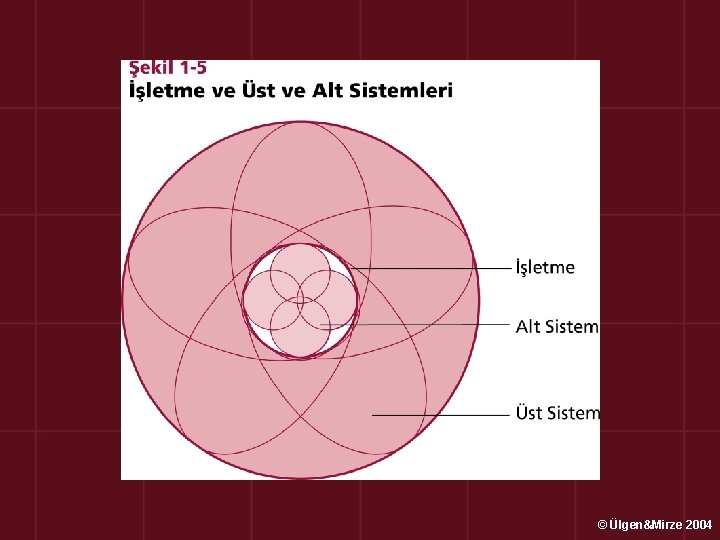 © Ülgen&Mirze 2004 