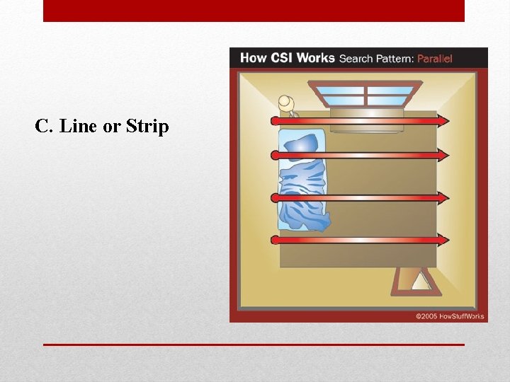 C. Line or Strip 