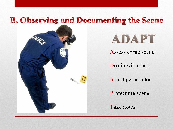 ADAPT Assess crime scene Detain witnesses Arrest perpetrator Protect the scene Take notes 