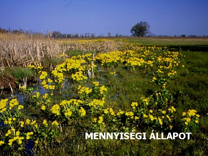 MENNYISÉGI ÁLLAPOT 