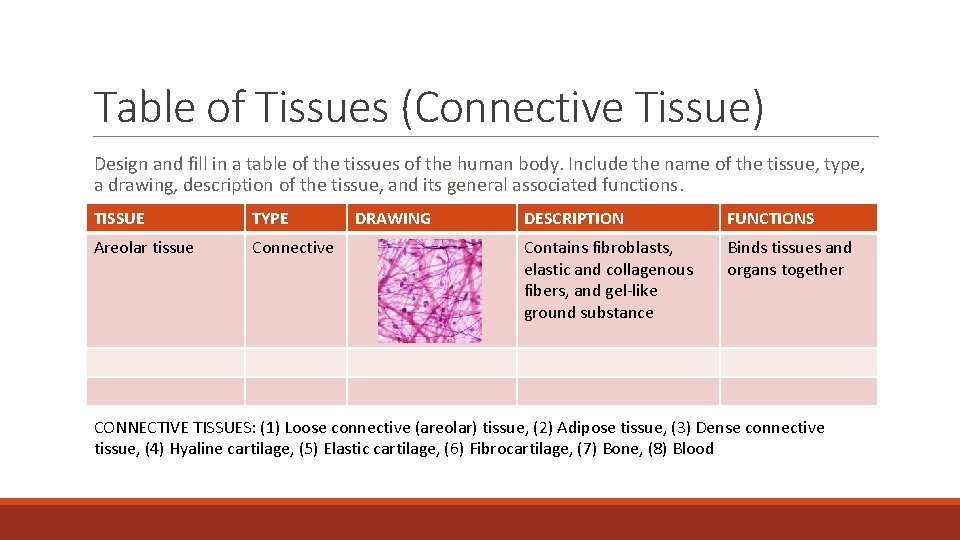 Table of Tissues (Connective Tissue) Design and fill in a table of the tissues