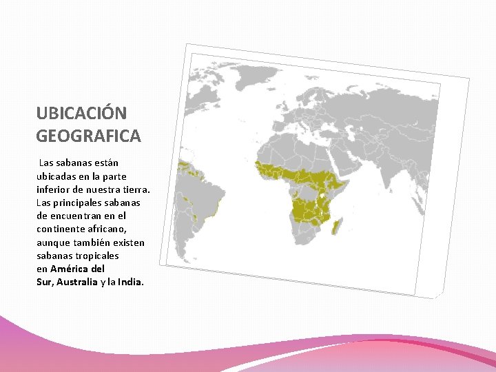 UBICACIÓN GEOGRAFICA Las sabanas están ubicadas en la parte inferior de nuestra tierra. Las