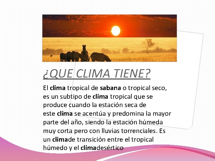 ¿QUE CLIMA TIENE? El clima tropical de sabana o tropical seco, es un subtipo