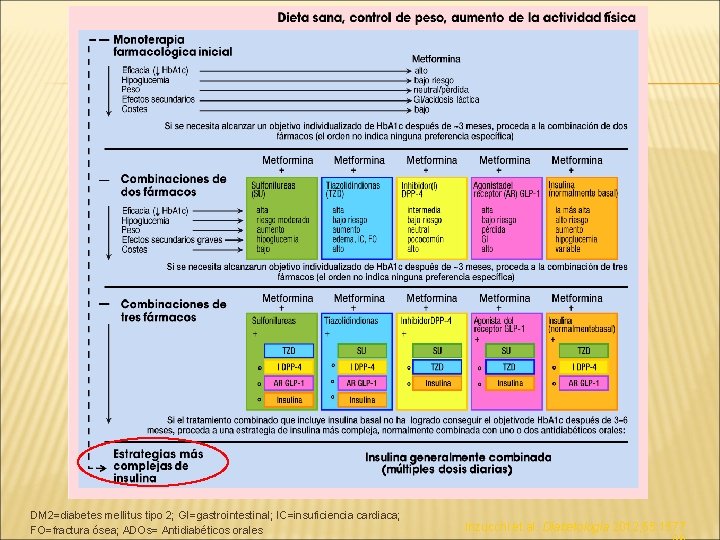 DM 2=diabetes mellitus tipo 2; GI=gastrointestinal; IC=insuficiencia cardiaca; FO=fractura ósea; ADOs= Antidiabéticos orales Inzucchi