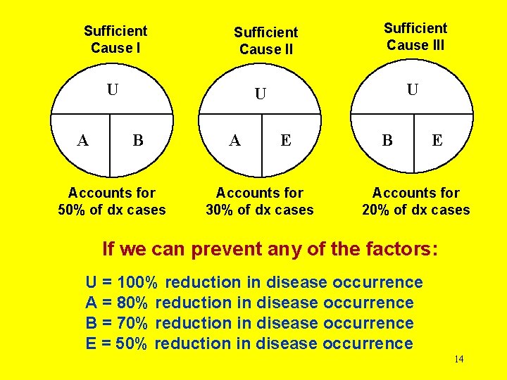 Sufficient Cause II U A Sufficient Cause III U U B Accounts for 50%