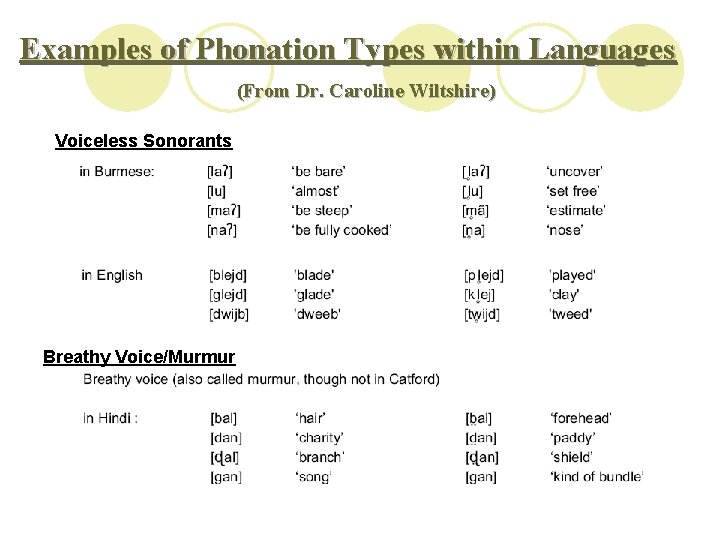 Examples of Phonation Types within Languages (From Dr. Caroline Wiltshire) Voiceless Sonorants Breathy Voice/Murmur