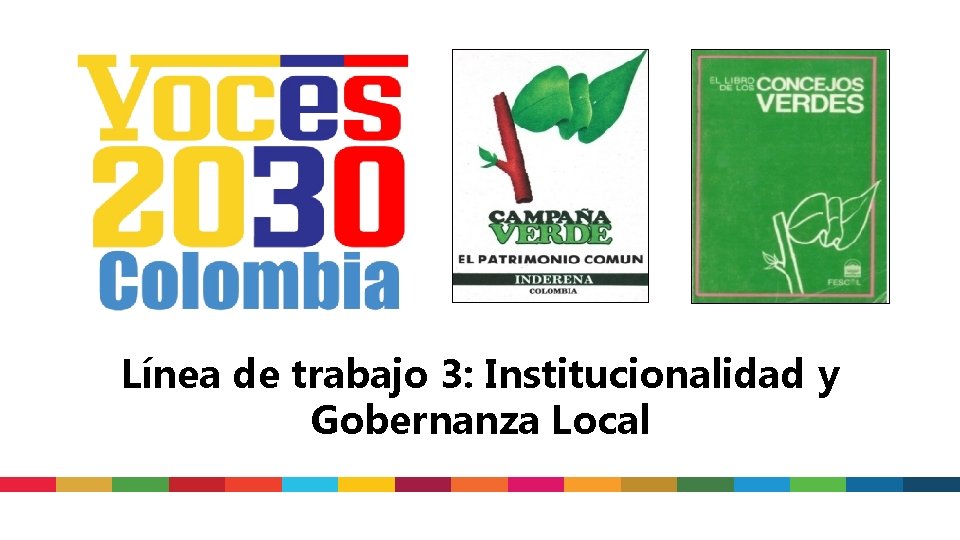 Línea de trabajo 3: Institucionalidad y Gobernanza Local 