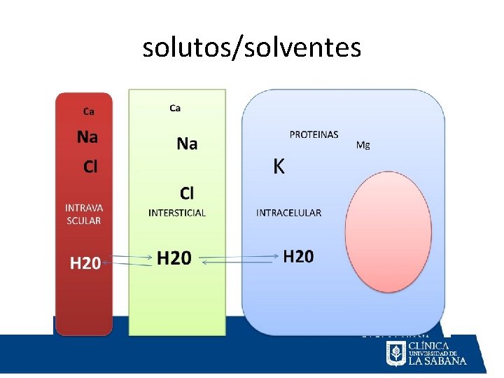 solutos/solventes 