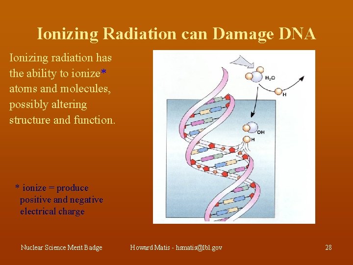 Ionizing Radiation can Damage DNA Ionizing radiation has the ability to ionize* atoms and