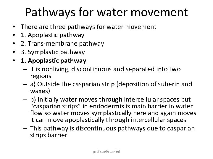 Pathways for water movement • • • There are three pathways for water movement
