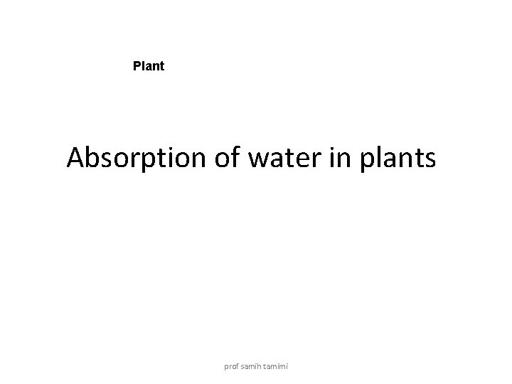 Plant Absorption of water in plants prof samih tamimi 
