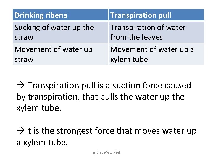 Drinking ribena Sucking of water up the straw Movement of water up straw Transpiration