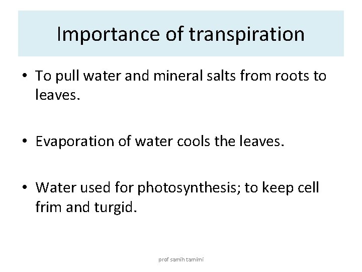 Importance of transpiration • To pull water and mineral salts from roots to leaves.