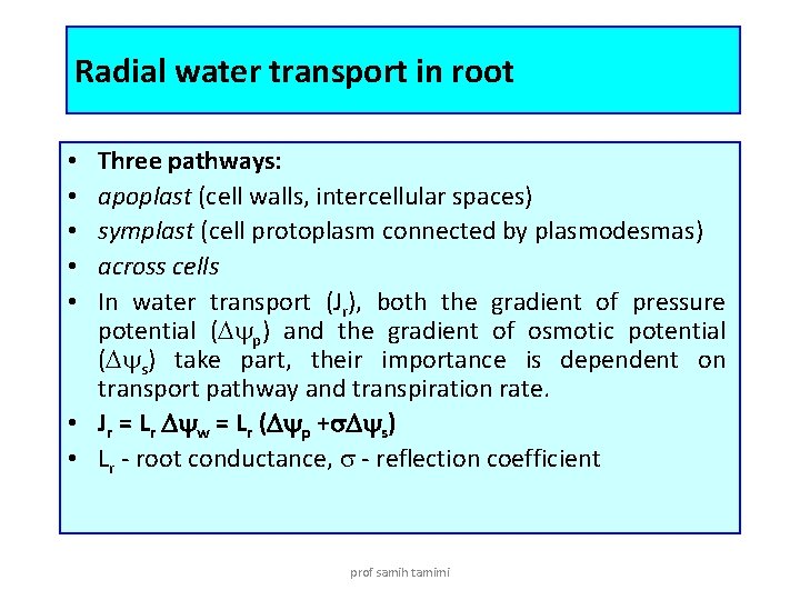 Radial water transport in root Three pathways: apoplast (cell walls, intercellular spaces) symplast (cell