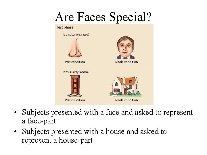 Are Faces Special? • Subjects presented with a face and asked to represent a