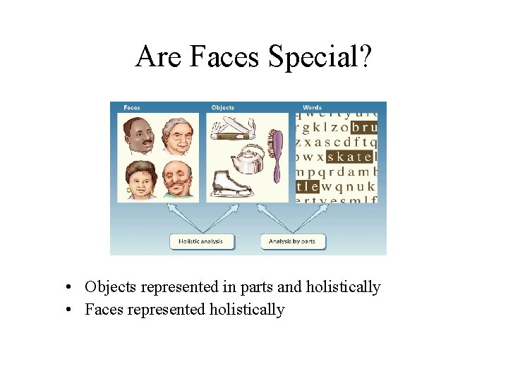 Are Faces Special? • Objects represented in parts and holistically • Faces represented holistically