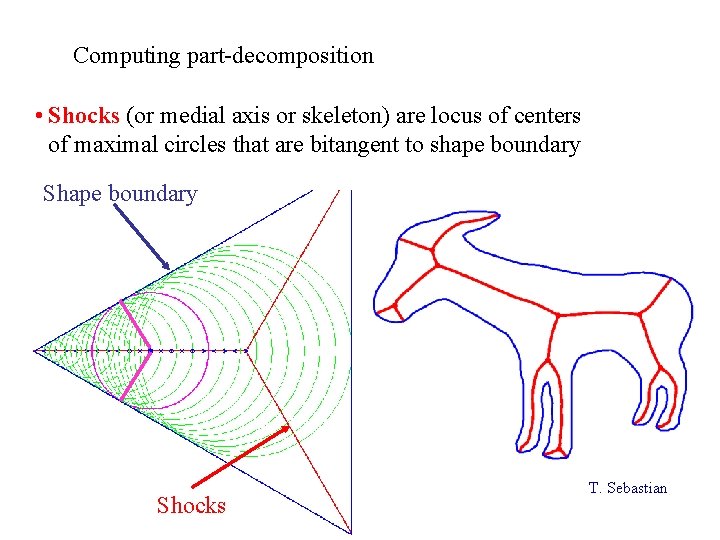 Computing part-decomposition • Shocks (or medial axis or skeleton) are locus of centers of