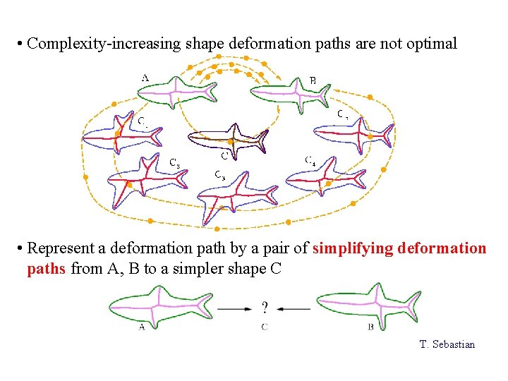  • Complexity-increasing shape deformation paths are not optimal • Represent a deformation path