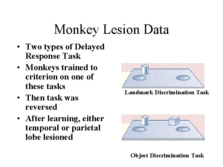 Monkey Lesion Data • Two types of Delayed Response Task • Monkeys trained to