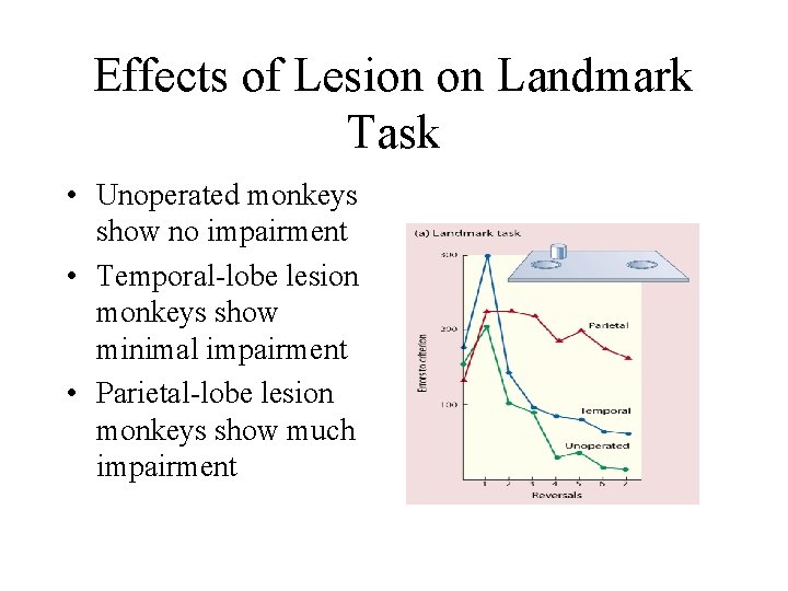 Effects of Lesion on Landmark Task • Unoperated monkeys show no impairment • Temporal-lobe
