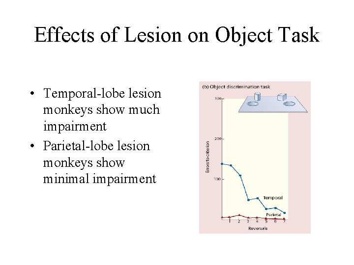 Effects of Lesion on Object Task • Temporal-lobe lesion monkeys show much impairment •