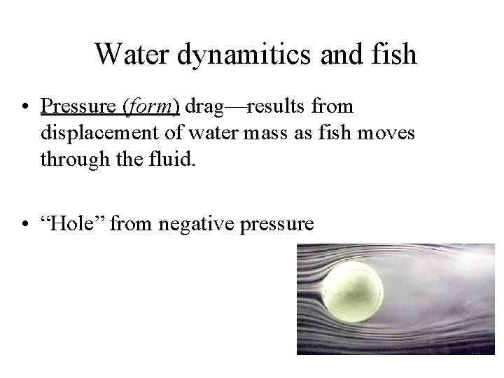 Water dynamitics and fish • Pressure (form) drag—results from displacement of water mass as