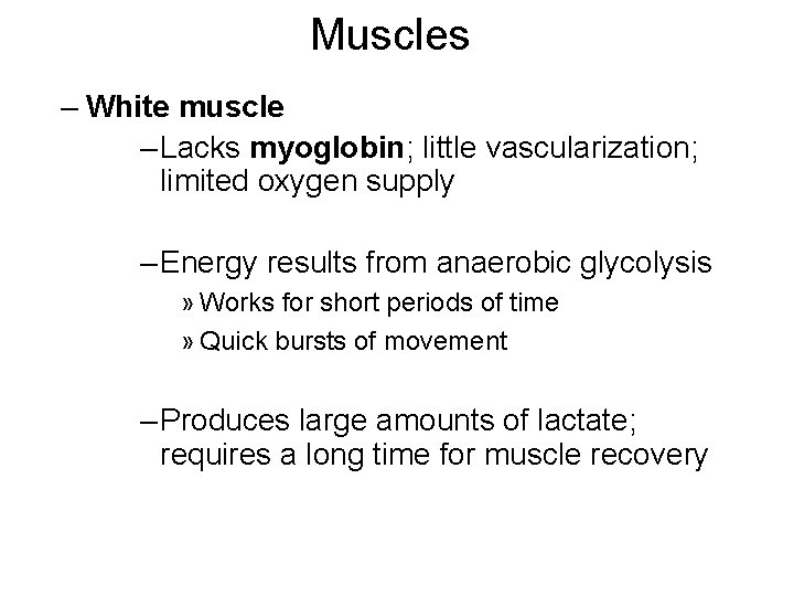 Muscles – White muscle – Lacks myoglobin; little vascularization; limited oxygen supply – Energy