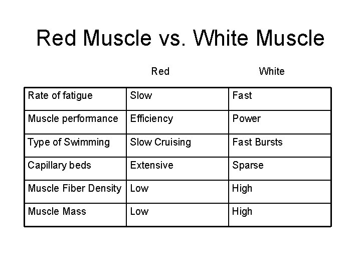 Red Muscle vs. White Muscle Red White Rate of fatigue Slow Fast Muscle performance