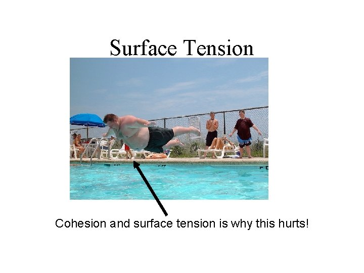 Surface Tension Cohesion and surface tension is why this hurts! 