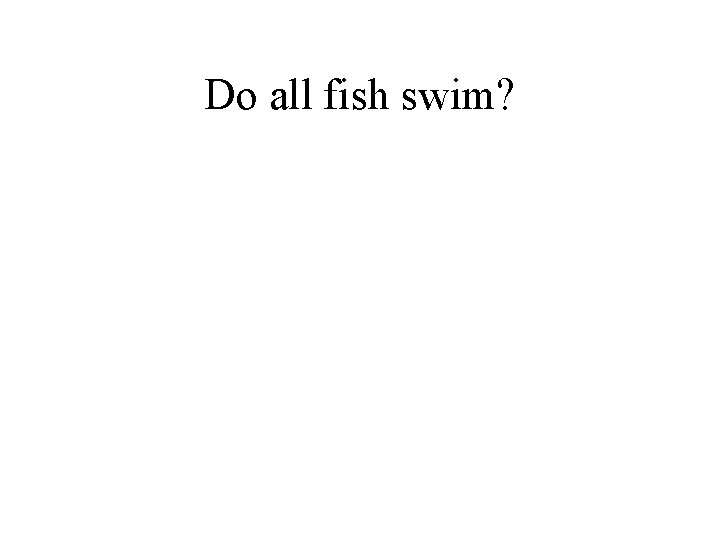 Do all fish swim? 