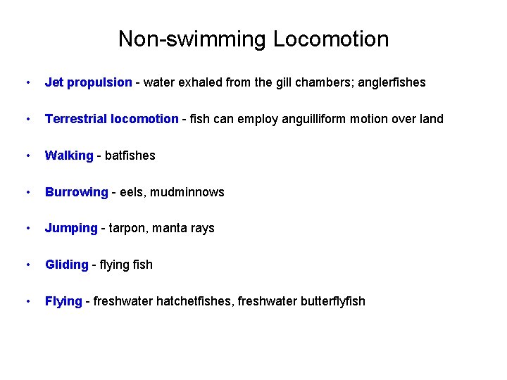 Non-swimming Locomotion • Jet propulsion - water exhaled from the gill chambers; anglerfishes •