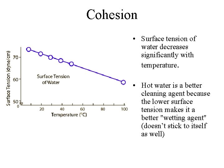 Cohesion • Surface tension of water decreases significantly with temperature. • Hot water is