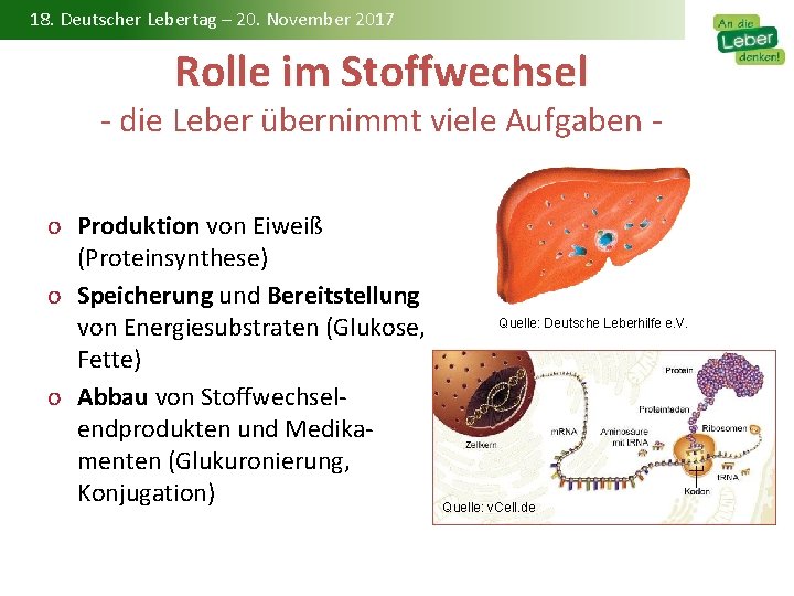 18. Deutscher Lebertag – 20. November 2017 Rolle im Stoffwechsel - die Leber übernimmt