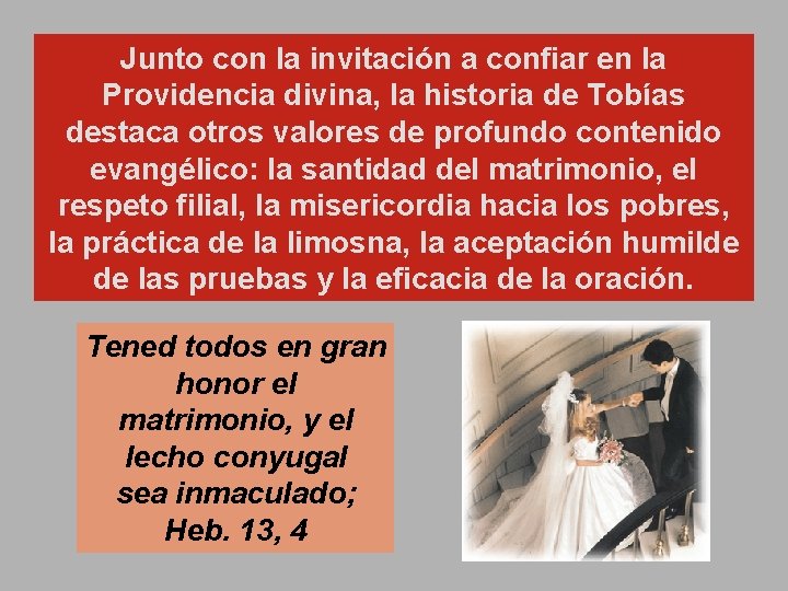 Junto con la invitación a confiar en la Providencia divina, la historia de Tobías