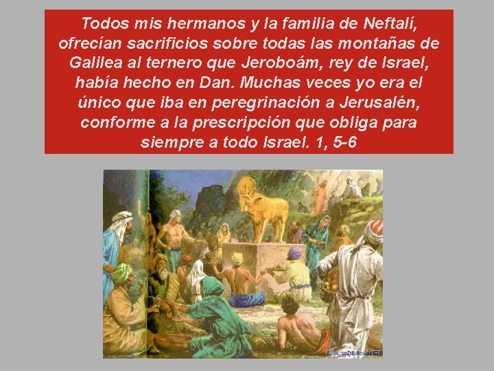 Todos mis hermanos y la familia de Neftalí, ofrecían sacrificios sobre todas las montañas