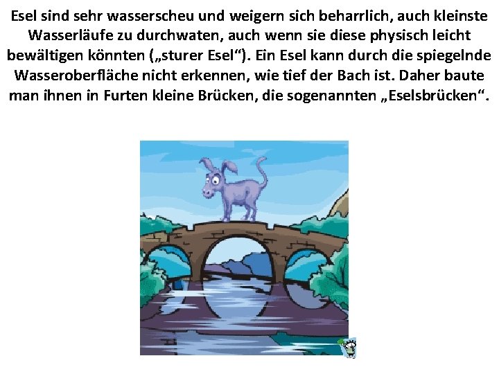 Esel sind sehr wasserscheu und weigern sich beharrlich, auch kleinste Wasserläufe zu durchwaten, auch