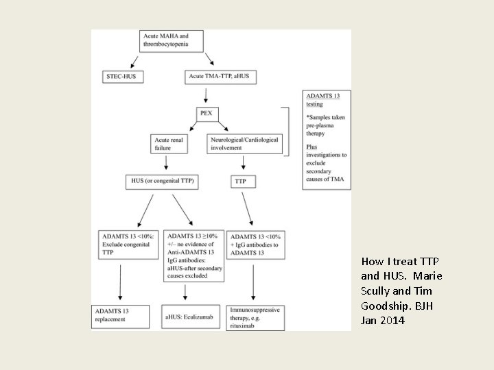 How I treat TTP and HUS. Marie Scully and Tim Goodship. BJH Jan 2014